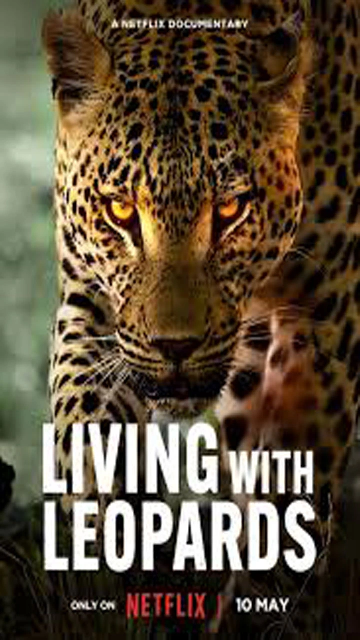 Anime Living with Leopards